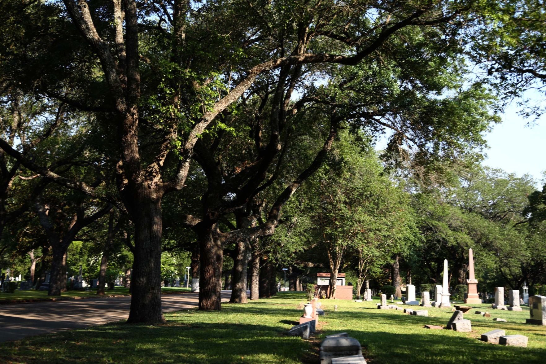 Oakwood